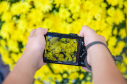 boy composes his picture of yellow flowers